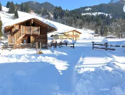 Hotel Guggenberger | Salzburg (eyalet) - Sankt Johann im Pongau - Kleinarl