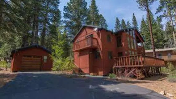 Wolf Tree by Red Awning | Kaliforniya - Lake Tahoe (ve civarı) - Truckee