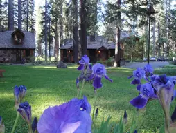 Cottage Inn | Kaliforniya - Lake Tahoe (ve civarı) - Tahoe City