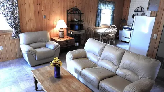 Foothills Lodge and Cabins | Kolorado - Alamosa (ve civarı) - South Fork