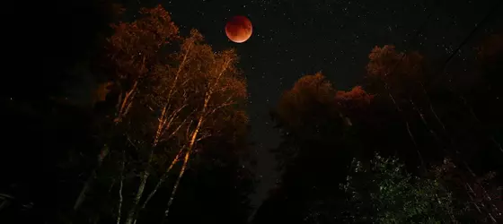 La Chaumiere de l' Anse | Quebec - Les Laurentides Regional County Belediyesi - Tremblant Dağı (ve civarı) - Mont-Tremblant