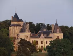 Demeure Château de Ternay | Nouvelle-Aquitaine - Vienne (bölge) - Ternay