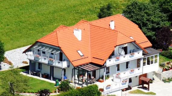 Gästehaus Pension Lang | Upper Austria (Yukarı Avusturya) - Pfarrkirchen im Muehlkreis