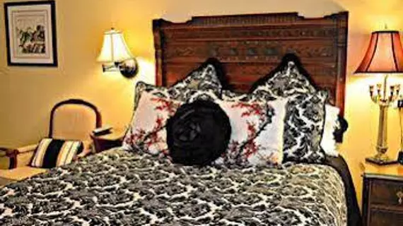 Pettigru Place Bed & Breakfast | Güney Karolayna - Greenville - Spartanburg (ve civarı) - Greenville - Greenville Downtown