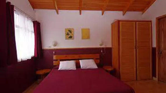 Hotel Mango Valley | Alajuela (ili) - San Jose (ve civarı) - San Roque