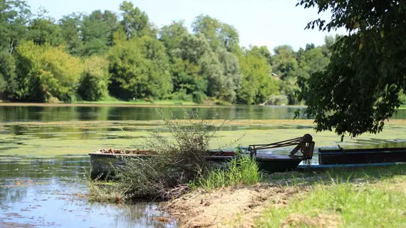 Domaine Maison Dodo | Nouvelle-Aquitaine - Dordogne - Lamonzie-Saint-Martin