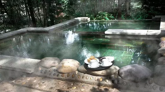 Huashuiwan No.1 Jinjiang Hot Spring Hotel | Sişuan - Chengdu