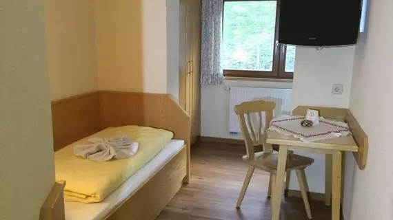 Pension Bergbauernhof Irxner | Styria - Schladming