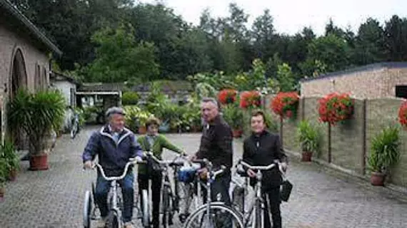 B&B Casa Roman | Flaman Bölgesi - Limburg (il) - Zonhoven