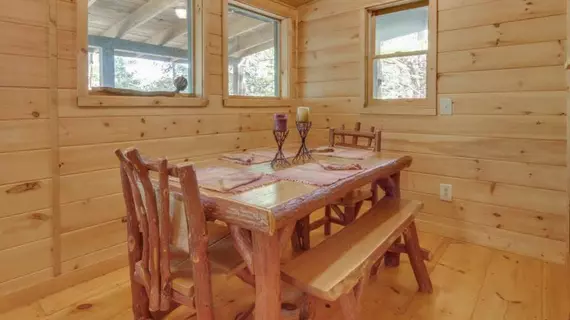 Cherokee Point Cabin | Georgia - Blue Ridge (ve civarı) - Ellijay