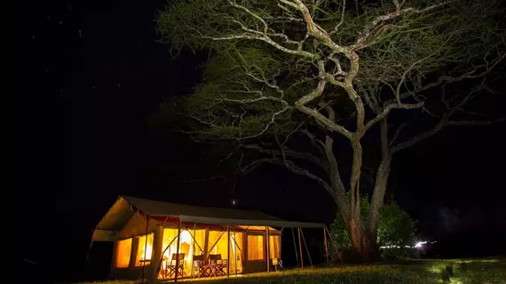 Kisura Serengeti Tented Camp | Serengeti Ulusal Parkı