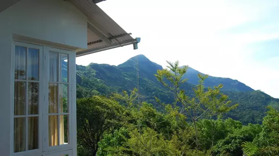 Windermere Estate | Kerala - Idukki Bölgesi - Devikolam