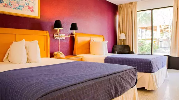 The Flamingo Resort - Gay Adult Resort | Florida - St. Petersburg - Clearwater (ve civarı) - St. Petersburg