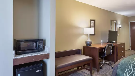 Comfort Inn and Suites Zachary | Louisiana - Baton Rouge (ve civarı) - Zachary