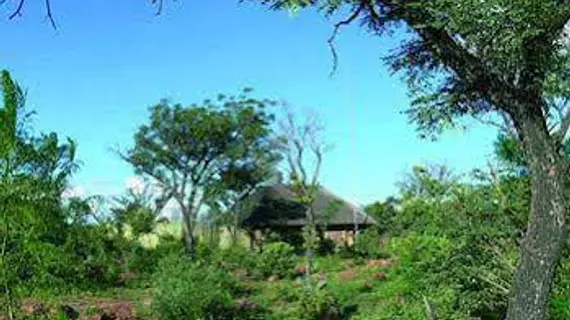 Abloom Bush Lodge and Spa Retreat | Gauteng - City of Tshwane - Johannesburg (ve civarı) - Cullinan