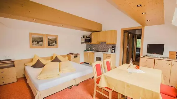 Hotel Garni Hainbacherhof | Tirol - Imst (ve civarı) - Soelden