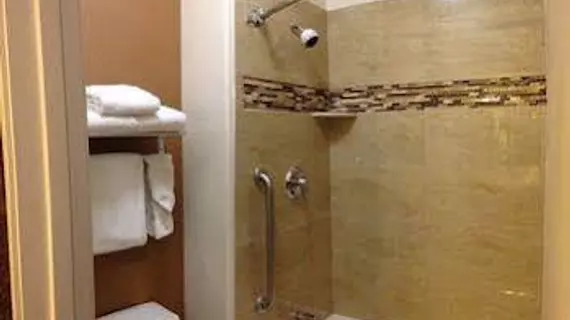 Comfort Suites Golden West on Evergreen Parkway | Kolorado - Denver (ve civarı) - Evergreen