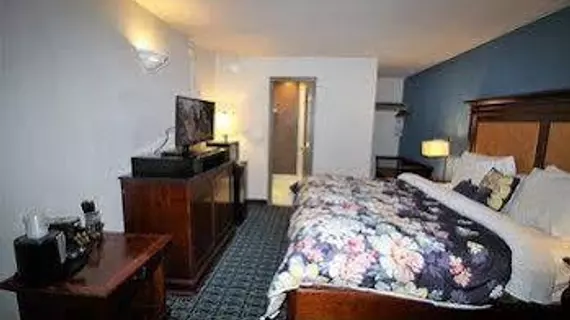 Americas Best Value Inn - Downtown / Midtown | Georgia - Atlanta (ve civarı) - Atlanta - Midtown