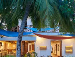 Masaaree Boutique Hotel | Maldivler - Kaafu Atoll - Maafushi