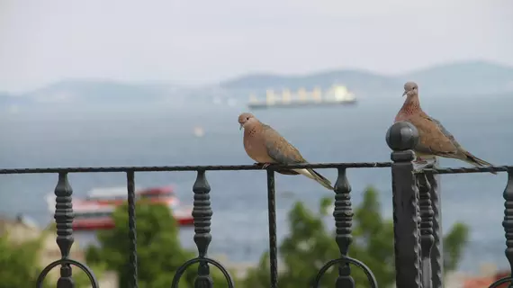 Saruhan Hotel |  Istanbul  - Fatih - Sultanahmet