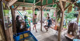 Tropical Garden Bungalow | Krabi İli - Ko Phi Phi