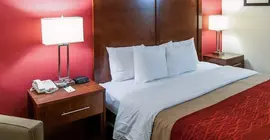 Quality Inn | Pensilvanya - Bucks County - Allentown (ve civarı) - Easton - Palmer