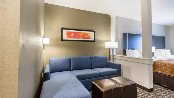 Comfort Suites Northwest Houston at Beltway 8 | Teksas - Houston (ve civarı) - Houston