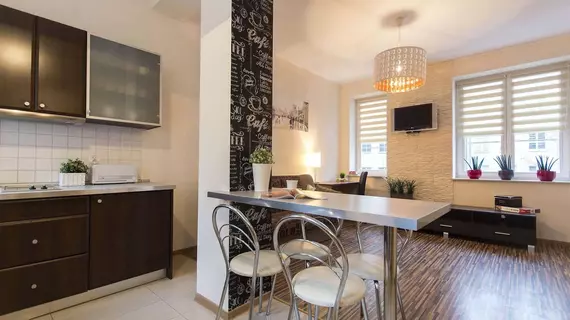 Apartament White Lions | Doğu Pomeranya Voyvodalığı - Gdansk (ve civarındaki alan) - Gdansk - Eski Kent Bölgesi