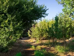 Tur Sinai Organic Farm Resort | Mate Yehuda Bölge Konseyi - Kudüs (ve civarı) - Kudüs