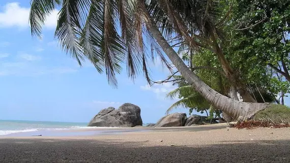 Thongyang Bungalow | Surat Thani (vilayet) - Koh Phangan