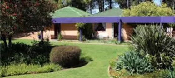 Big Tree B and B and Guest House | Gauteng - City of Tshwane - Johannesburg (ve civarı) - Midrand