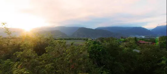 Maesai Orchid | Chiang Rai İli - Mae Sai