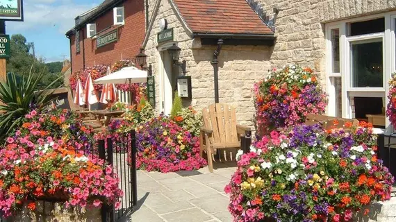 The Walnut Tree Inn | Dorset (kontluk) - Gillingham - Mere