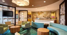 SpringHill Suites Mount Laurel | New Jersey - Washington Township - Mount Laurel (ve civarı) - Mount Laurel