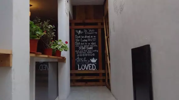 Humble Bumble Hostel | Quintana Roo - Solidaridad - Playa del Carmen - Avenida Constituyentes