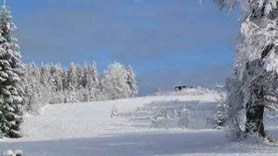 Auberge d'altitude de Grouvelin | Grand Est - Vosges (bölge) - Gerardmer