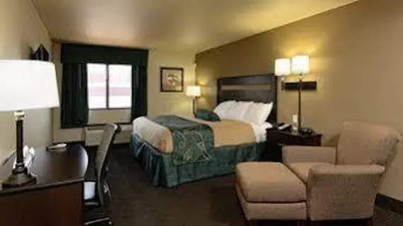 Oak Tree Inn Elko | Nevada - Elko (ve civarı) - Elko