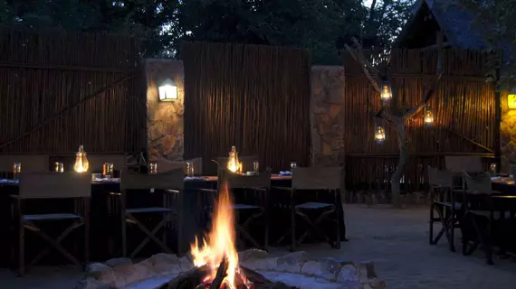 Chapungu Luxury Tented Camp | Limpopo - Maruleng - Hoedspruit