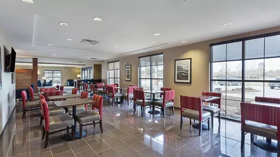 Comfort Inn and Suites Zachary | Louisiana - Baton Rouge (ve civarı) - Zachary