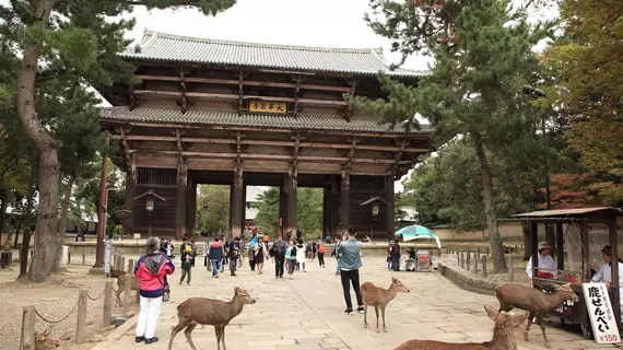 Oak Hostel Nara | Nara (idari bölge) - Nara (ve civarı) - Nara