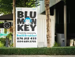 Blu Monkey Bed and Breakfast | Phuket (ve civarı) - Phuket - Talat Yai