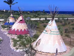 Captain Nemo's Landing | Baja California Sur - Los Cabos - East Cape (ve civarı) - Buenavista