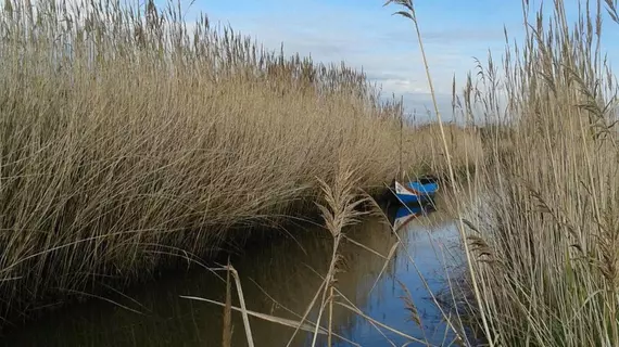 Be & See in Nature | Centro - Aveiro Bölgesi - Ovar