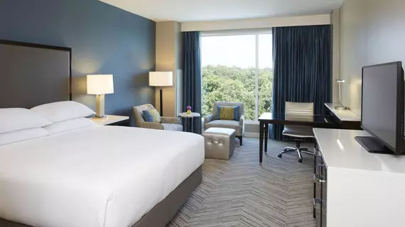 Hyatt Atlanta Perimeter - Villa Christina | Georgia - Atlanta (ve civarı) - Atlanta