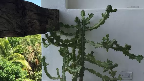 Mi Casa en Cozumel | Quintana Roo - Cozumel