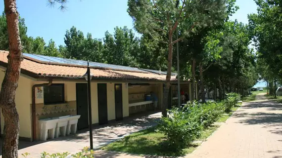 Badiaccia Village Camping | Umbria - Perugia (vilayet) - Castiglione del Lago - Badiaccia