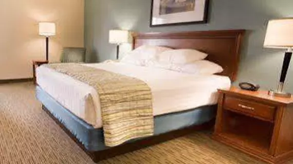 Drury Inn & Suites St. Louis-Southwest | Missouri - St. Louis (ve civarı) - Valley Park