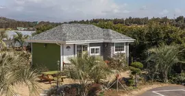 Jeju Jubilee Pension | Jeju Adası - Seogwipo - Jungmun