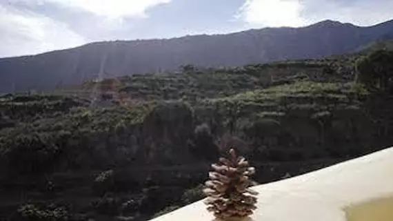 Rural Finca La Raya | Kanarya Adaları - Santa Cruz de Tenerife - Tenerife