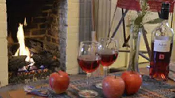 Beechwood Inn - Bed Breakfast and Wine Cellar | Georgia - Helen (ve civarı) - Clayton